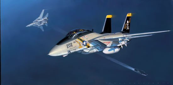 "Tomcat!" - Jack Fellows - F14 VF-17 Jolly Rogers Aviation Art